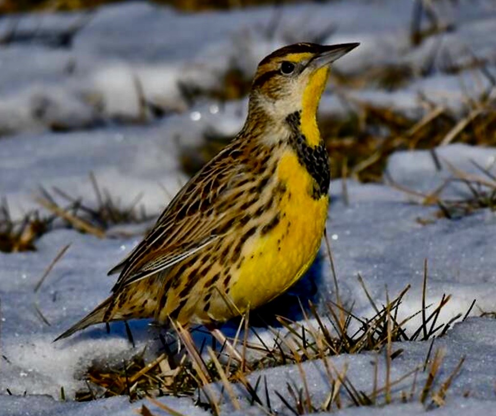 Reflection of the Day